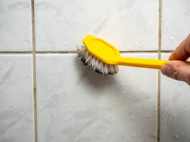Best Mold Removal Process  in Fort Mohave, AZ