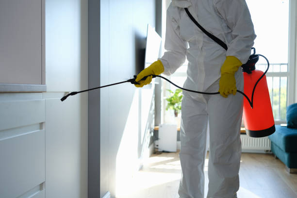 Best Toxic Mold Removal  in Fort Mohave, AZ